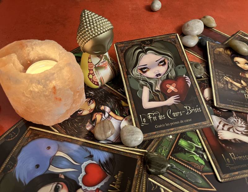 Sur Villefranche sur Saône, je vous propose des consultations pour retrouver un animal perdu